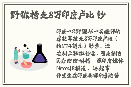 不收费半夜年轻人看B站软件
